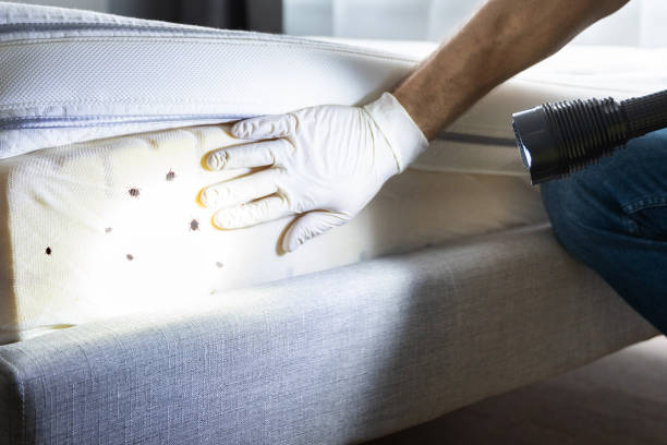 Best Emergency Pest Control  in Oberlin, OH