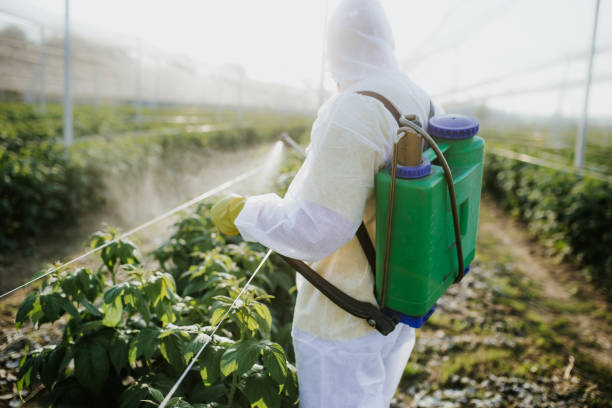 Best Best Pest Control Companies  in Oberlin, OH